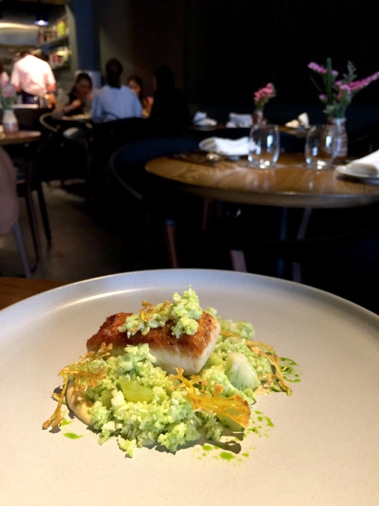 Snapper / Hummus / Cauliflower